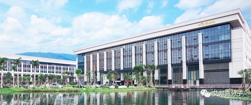 国内改性尼龙企业30强 新材料科技领域的技术创新与市场格局