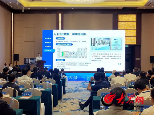 菏泽化工新材料产业 凝聚行业力量，技术驱动高质量发展